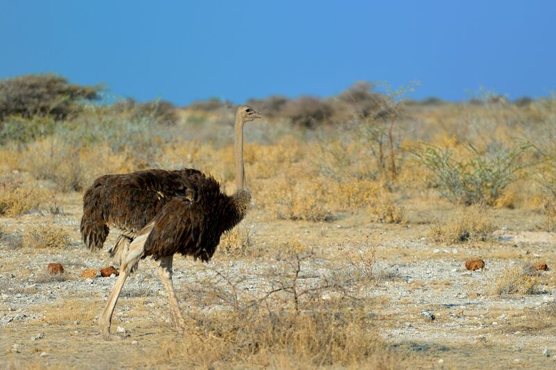 파일:240910 171510.jpg