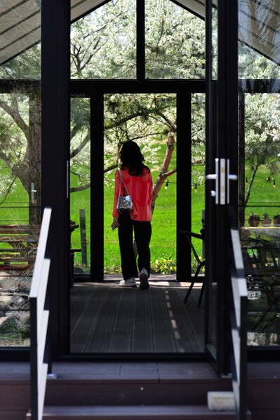 파일:donkey w01 008.jpg