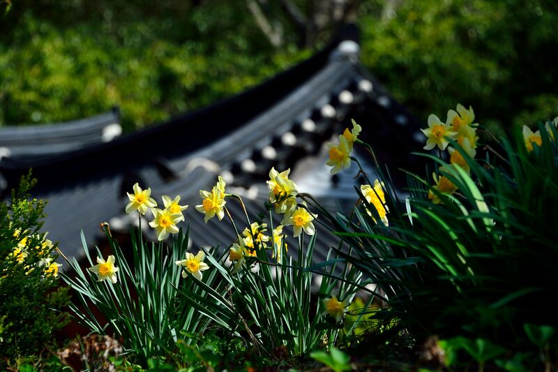 파일:gaesimsa26 019.jpg