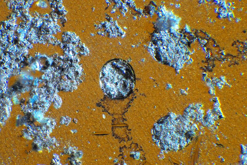 파일:sm g955n 053 004.jpg