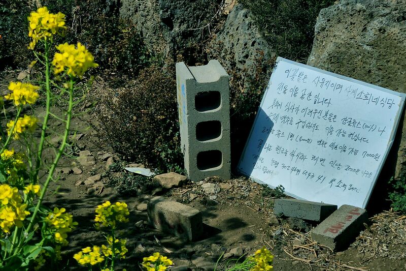 파일:260223 140300.jpg