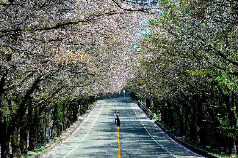 파일:yeoju26 01 001.jpg