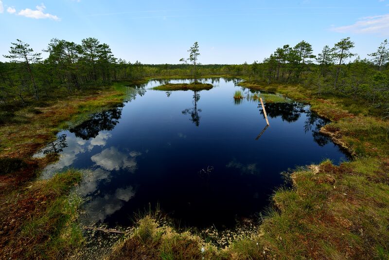 파일:230621 151108.jpg