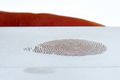 fingerprint01 001.jpg