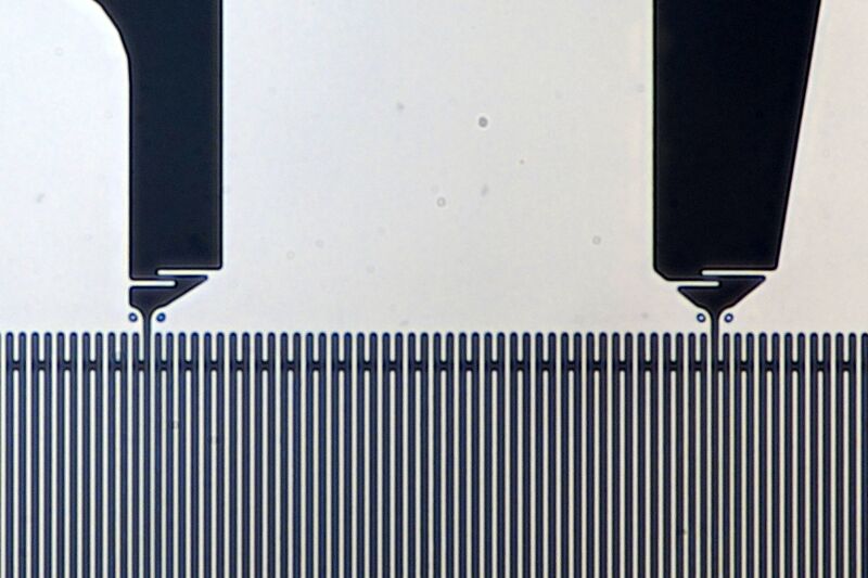 파일:canu701d 023.jpg