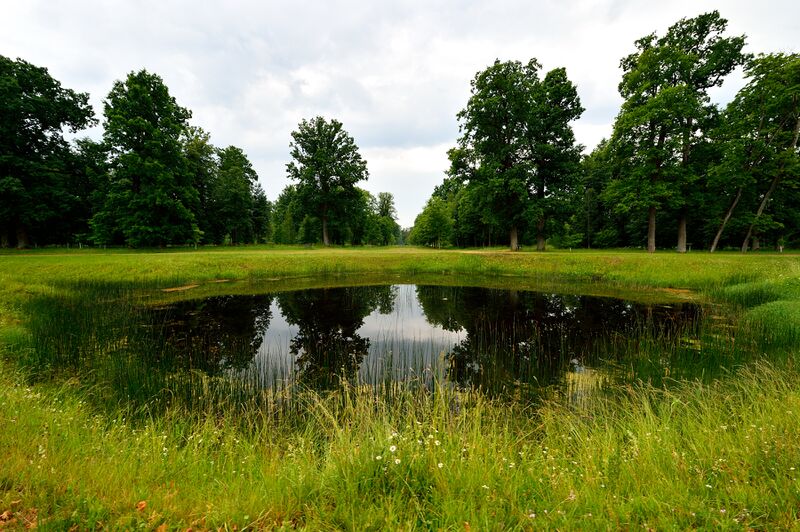 파일:230618 164406.jpg