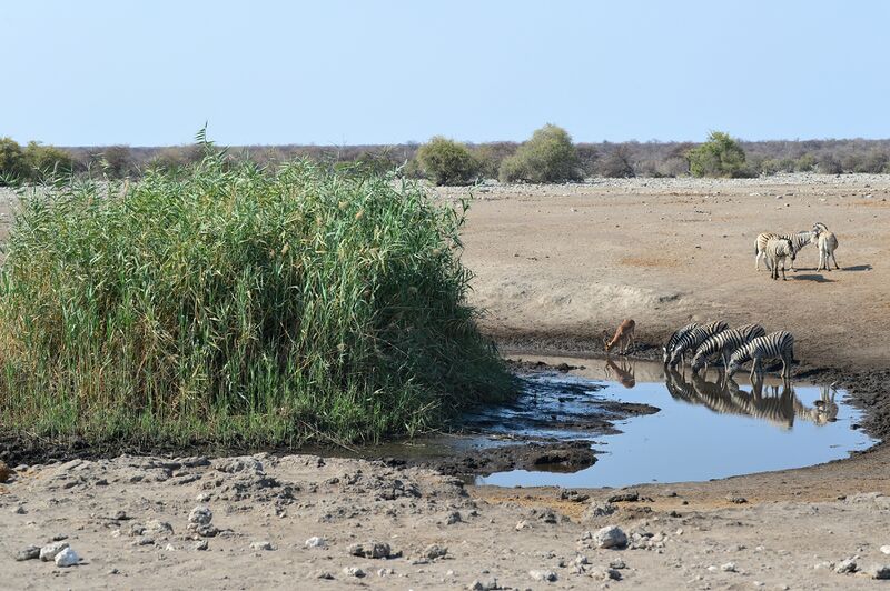 파일:240910 095846.jpg