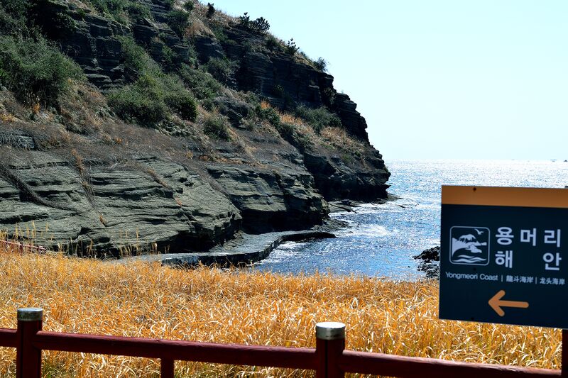 파일:260223 123434.jpg