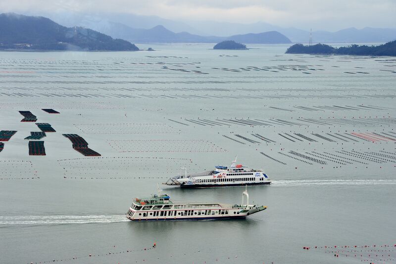 파일:haenam2024 151.jpg