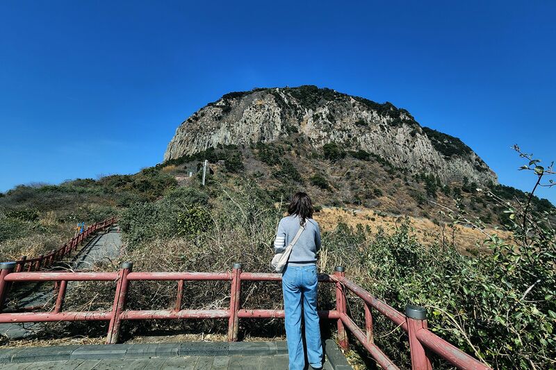 파일:260223 124846.jpg