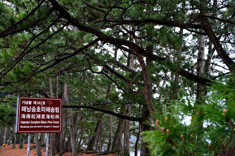 파일:haenam2024 116.jpg