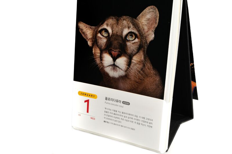 파일:calendar01 003.jpg