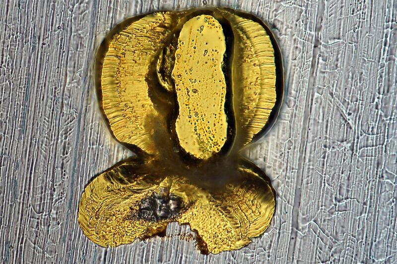 파일:flip3 01 100.jpg