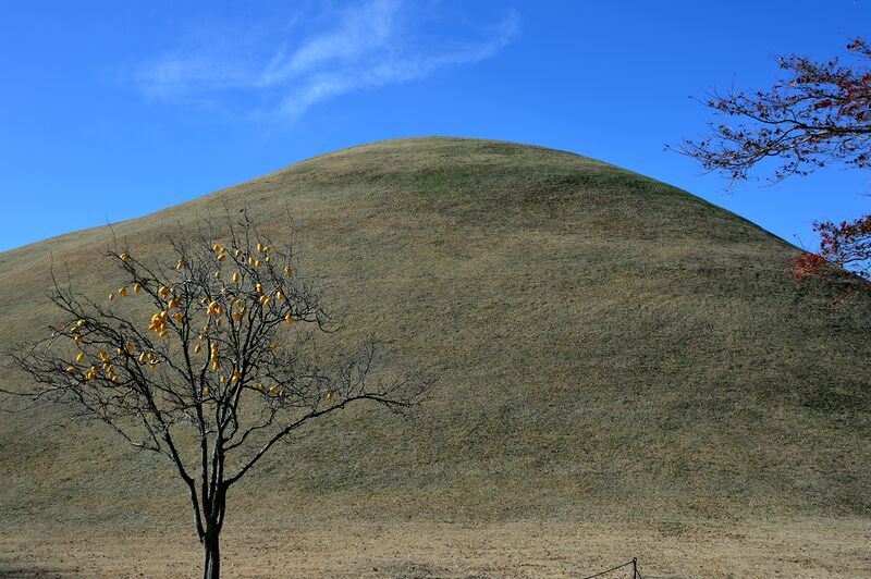 파일:221201 110032.jpg