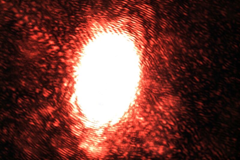 파일:ld focus01 002 001.jpg