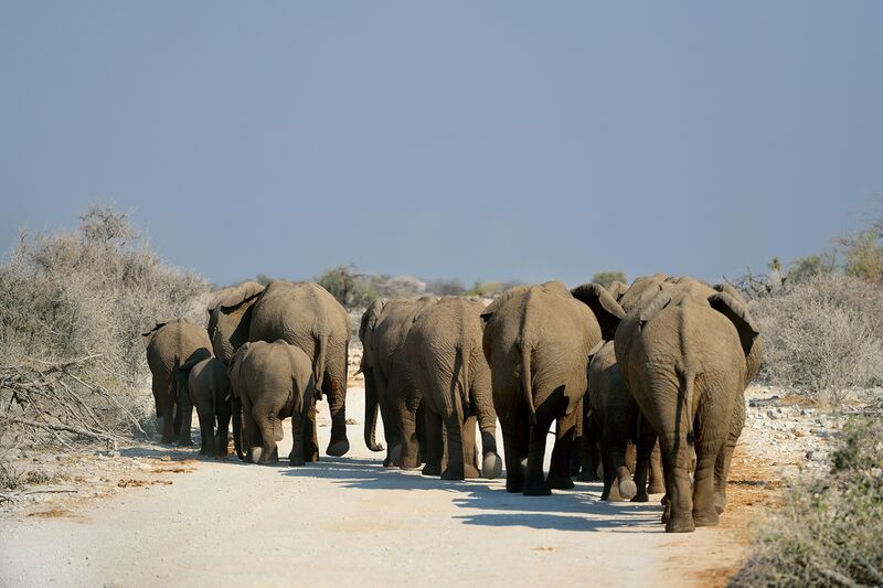 파일:240910 160220.jpg