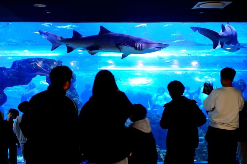 파일:260224 123032.jpg