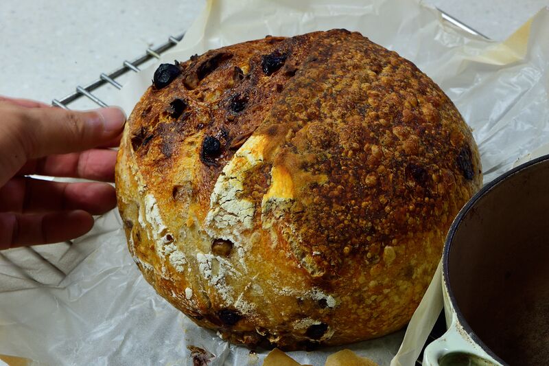 파일:bread levain02 002.jpg