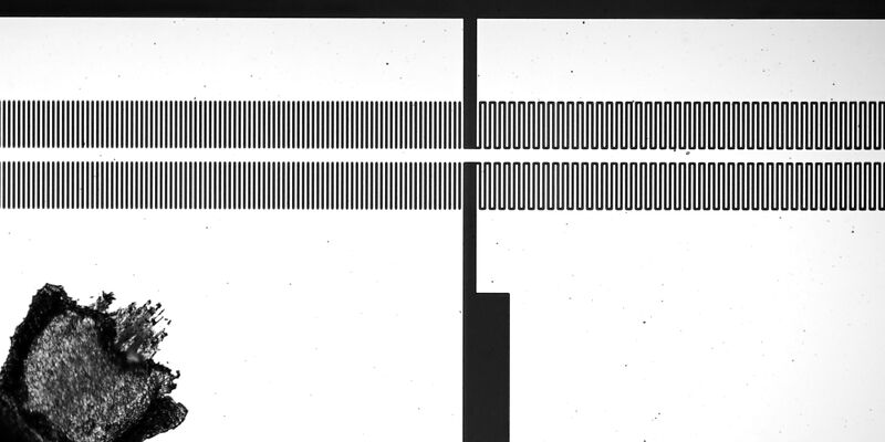 파일:saw if 255 01 005.jpg