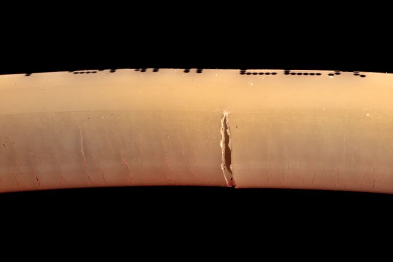 파일:shower hose01 014.jpg