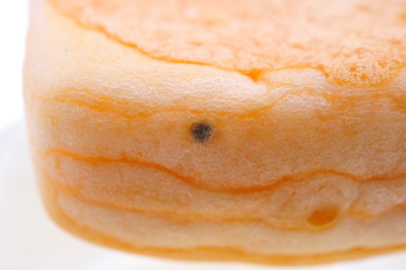 파일:bread01 001.jpg