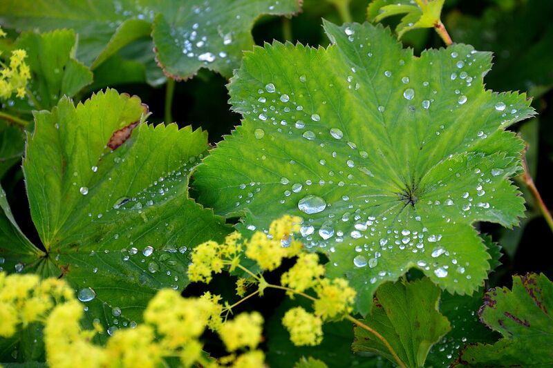 파일:250710 201630.jpg