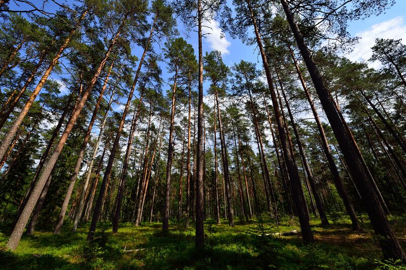 파일:230621 145430.jpg