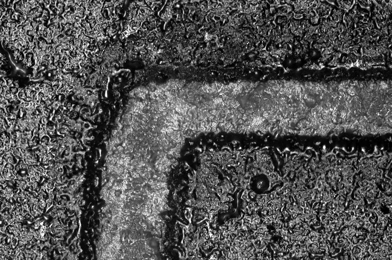 파일:dipr05 012.jpg