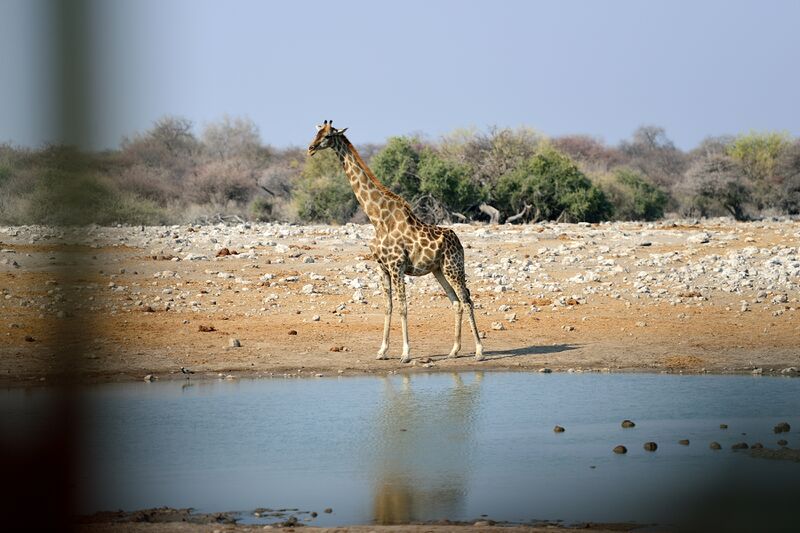 파일:240910 161054.jpg