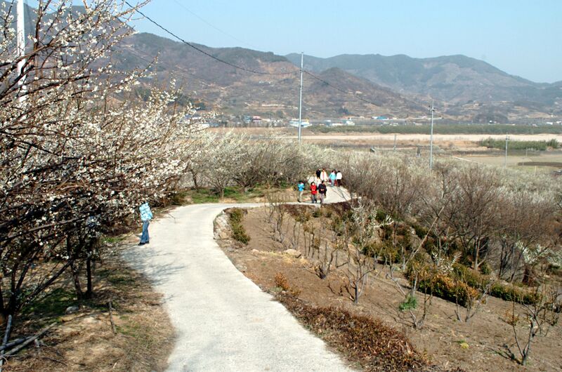 파일:040314 152632.jpg