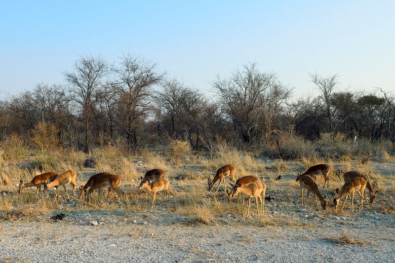 파일:240910 073622.jpg