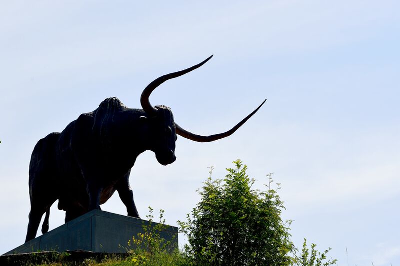 파일:230621 131720.jpg