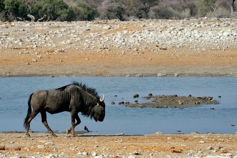 파일:240910 161448.jpg