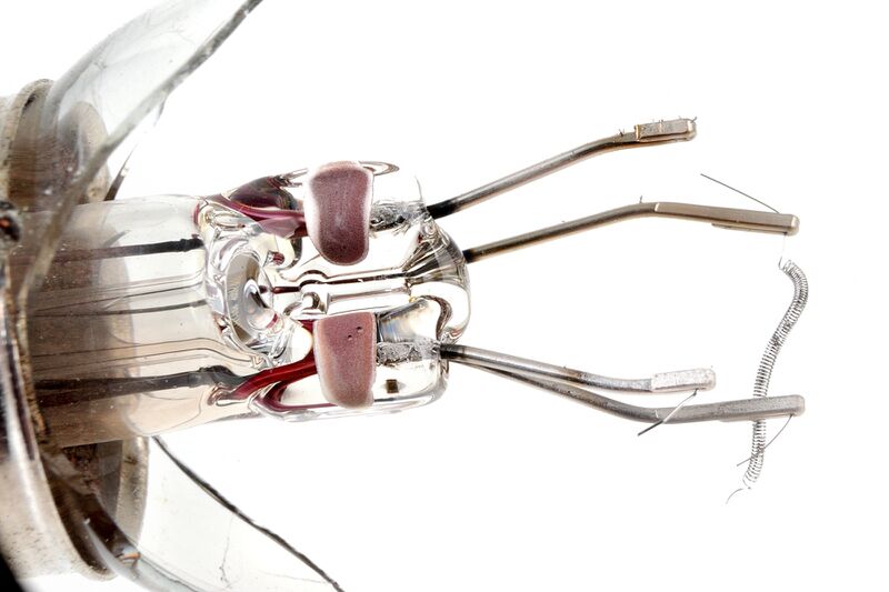 파일:incandescent05 002 019 001.jpg