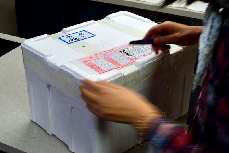 파일:meal09 02 001.jpg